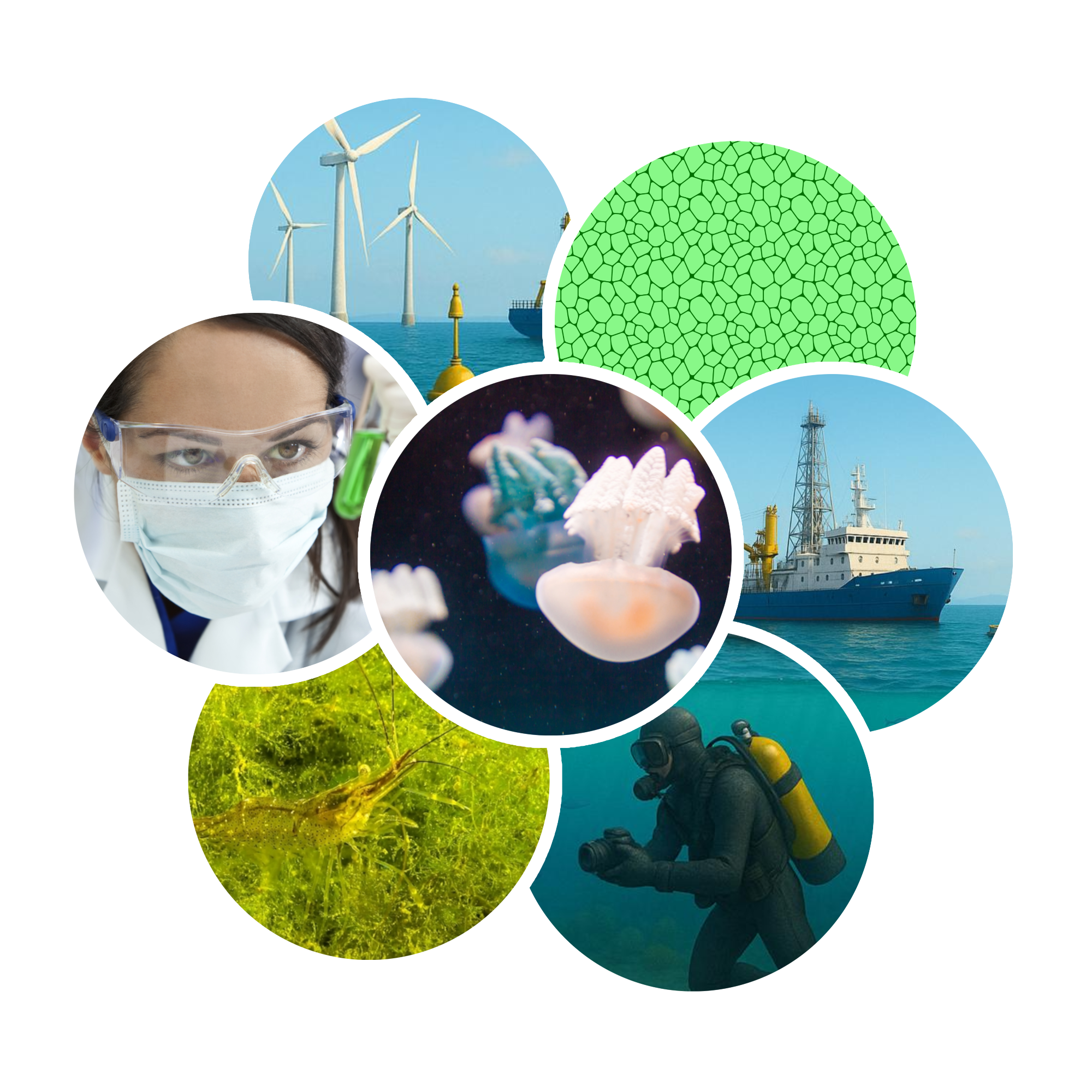 DigiBlue project image