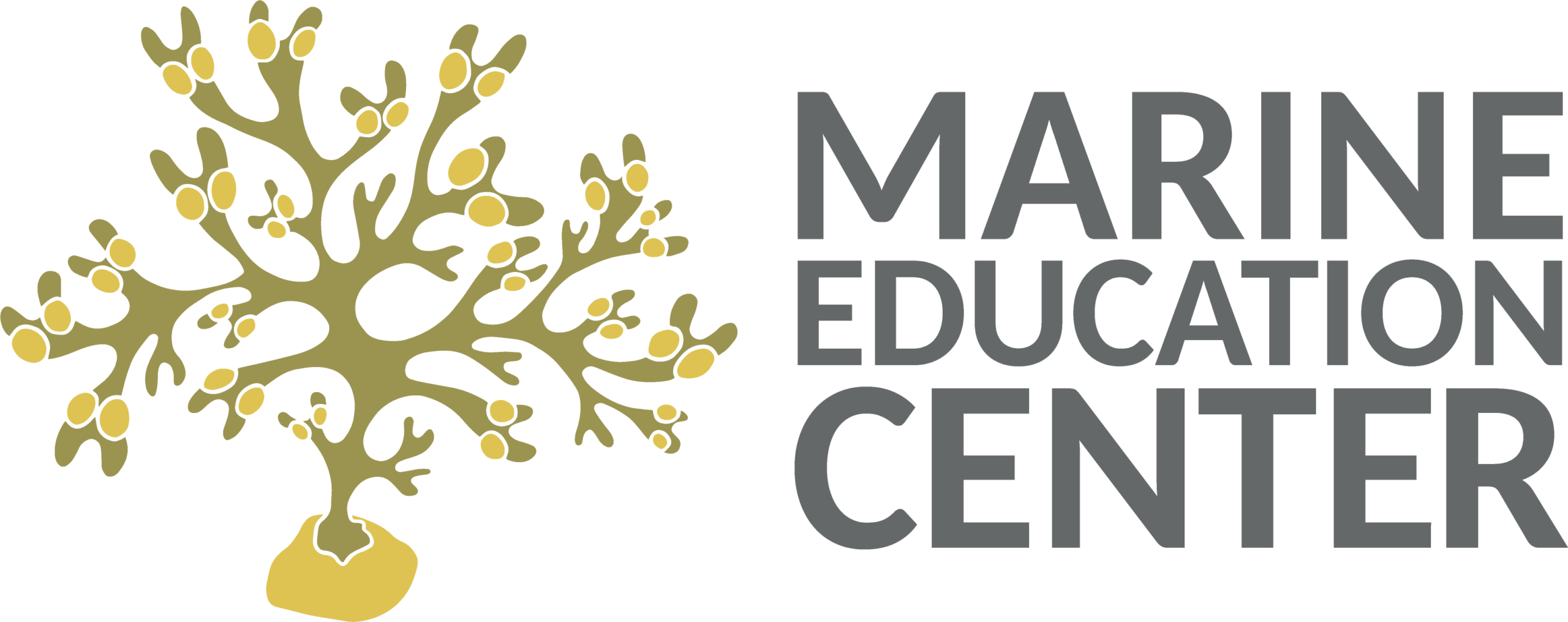 Logo Marint Kunskabs Center